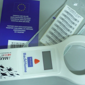 Chippen & registratie